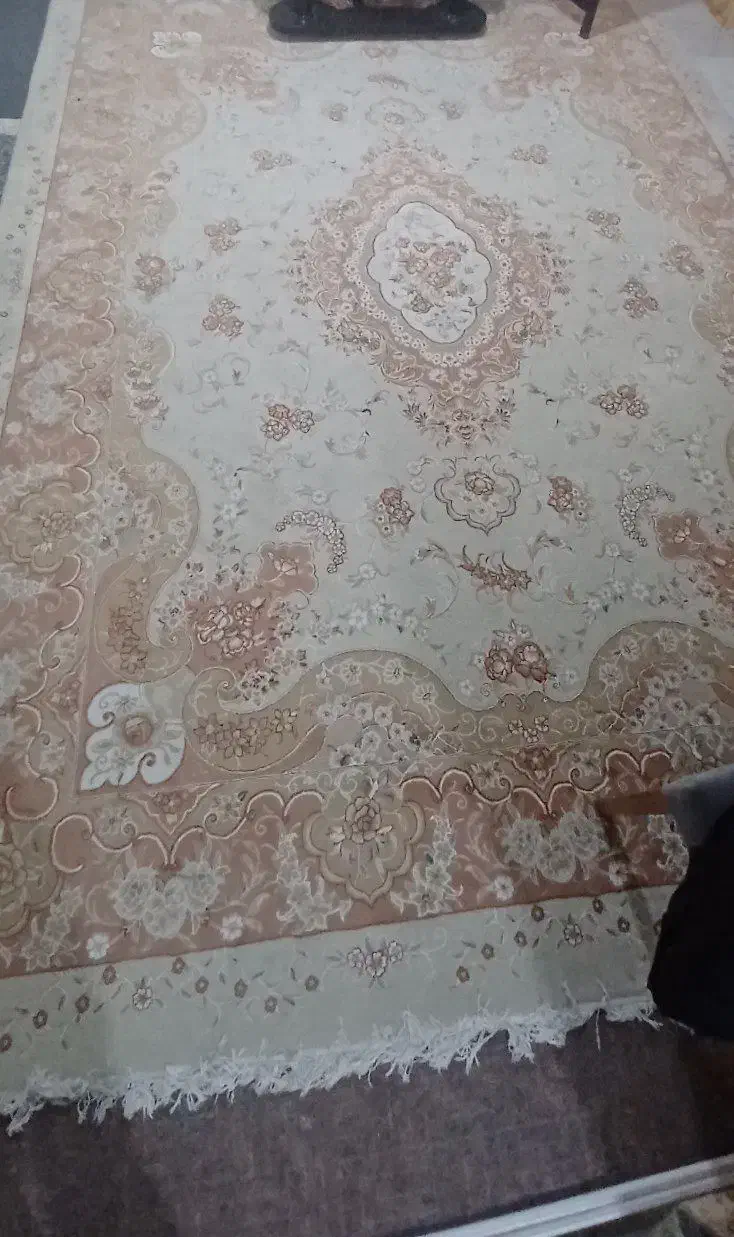 فرش ۱۲ متری|فرش|دورود, |دیوار