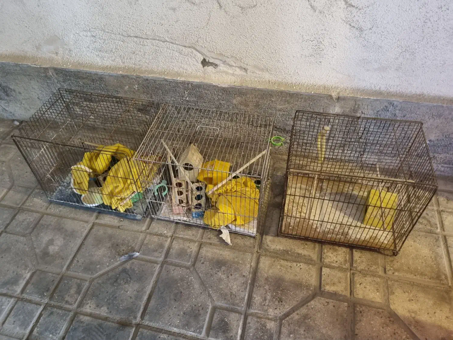 ۳عدد قفس پرنده نو با لوازم جانبی|لوازم جانبی حیوانات|اندیشه, شهرک مریم|دیوار