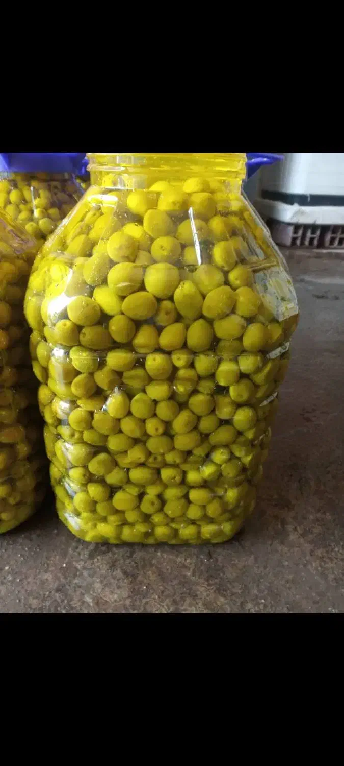 زیتون کنسروی|عمدهفروشی|قم, شهرک خودرو|دیوار