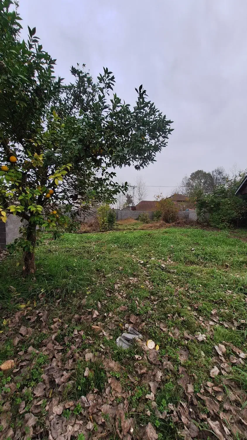 ۲۰۵ متر زمین مسکونی آماده ساخت/۸دقیقه تا دریا|فروش زمین و ملک کلنگی|رشت, بلوار گیلان|دیوار