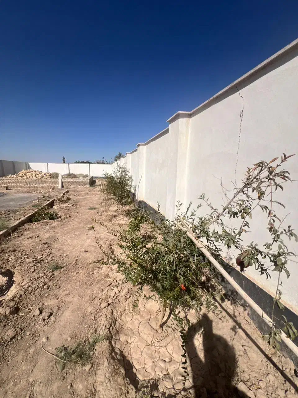 زمین ویلایی درختکاری دیوارکشی یزدآباد اقساطی|فروش زمین و ملک کلنگی|کاشان, یزد‌آباد|دیوار