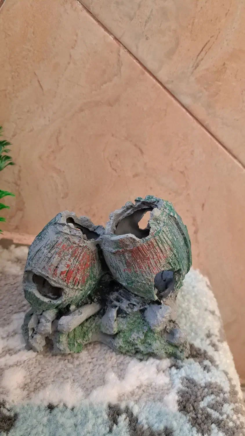 لوازم آکواریوم|لوازم جانبی حیوانات|دماوند, گیلاوند|دیوار