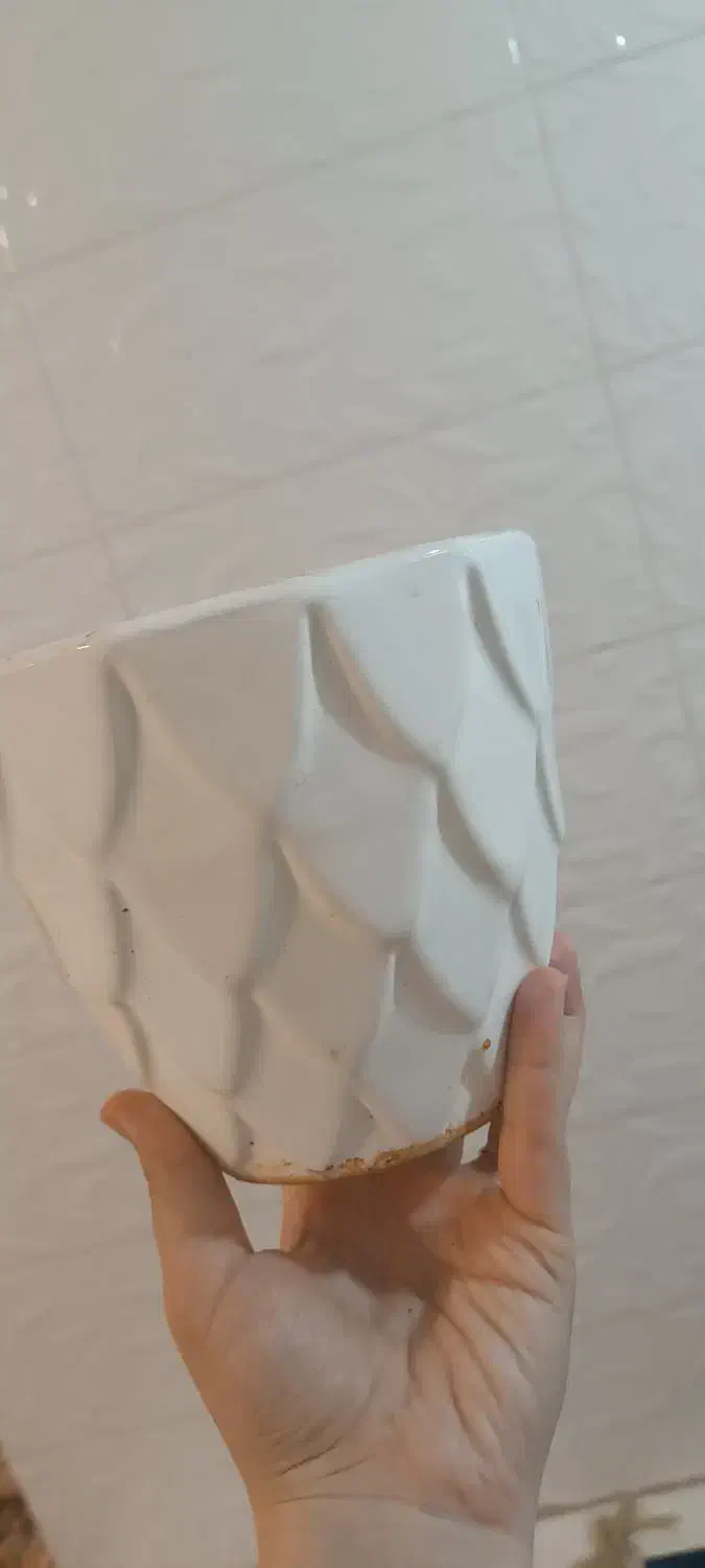 گلدان سرامیکی و پلاستیکی|گل و گیاه طبیعی|قم, باجک سه|دیوار