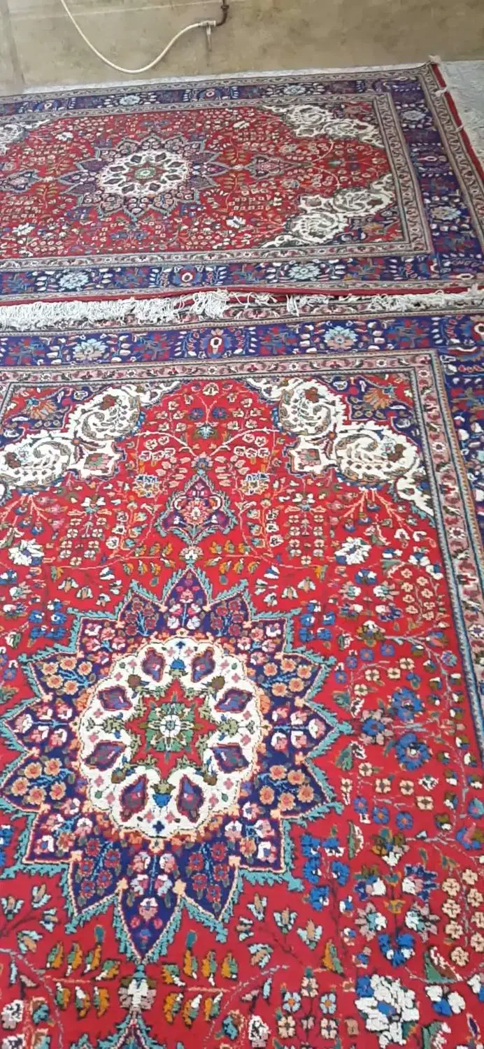 فرش دستباف|فرش|ارومیه, |دیوار