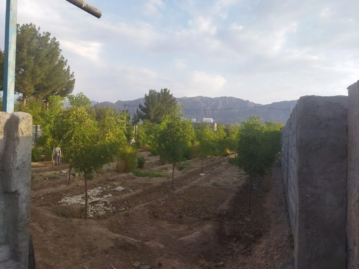 تصویر 12