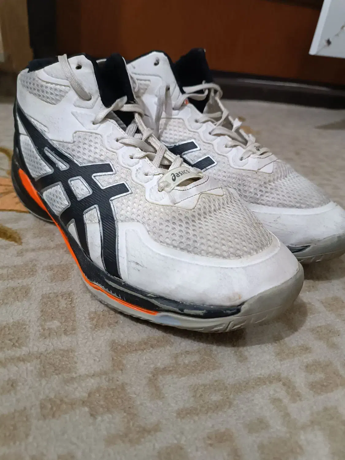 کتانی اسیکس والیبال قیمت مناسب ویتنام|کیف، کفش، کمربند|لاهیجان, امیرشهید|دیوار