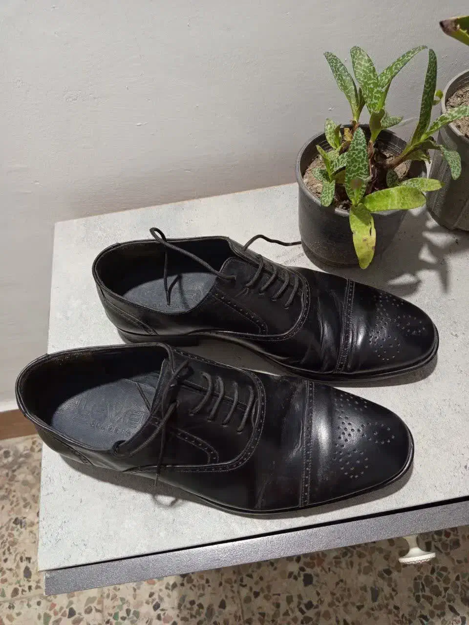 کفش مردانه|کیف، کفش، کمربند|رشت, پاره بیجار|دیوار