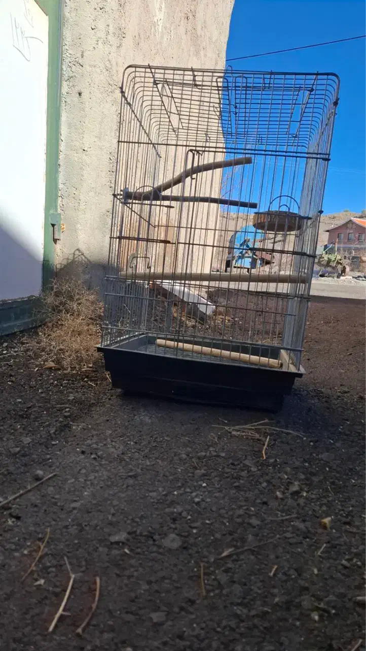 قفس و لونه دسته دوم|لوازم جانبی حیوانات|بیرجند, |دیوار