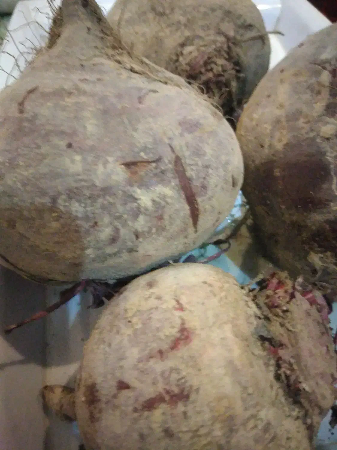 لبو|خوردنی و آشامیدنی|اصفهان, قائمیه|دیوار