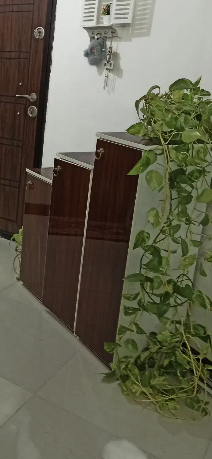 جا کفشی در حد نو|جاکفشی، کمد، دراور|گرمدره, |دیوار