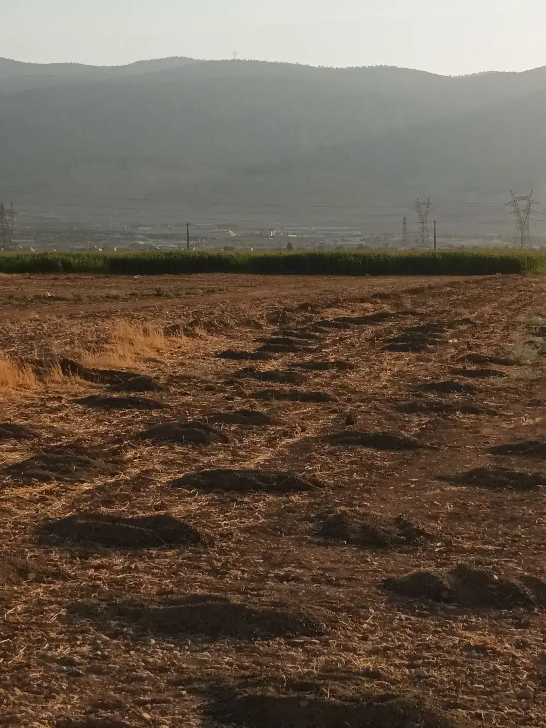 اجاره زمین کشاورزی آبی دیناروند|اجارهٔ دفتر صنعتی، کشاورزی، تجاری|خرمآباد, |دیوار