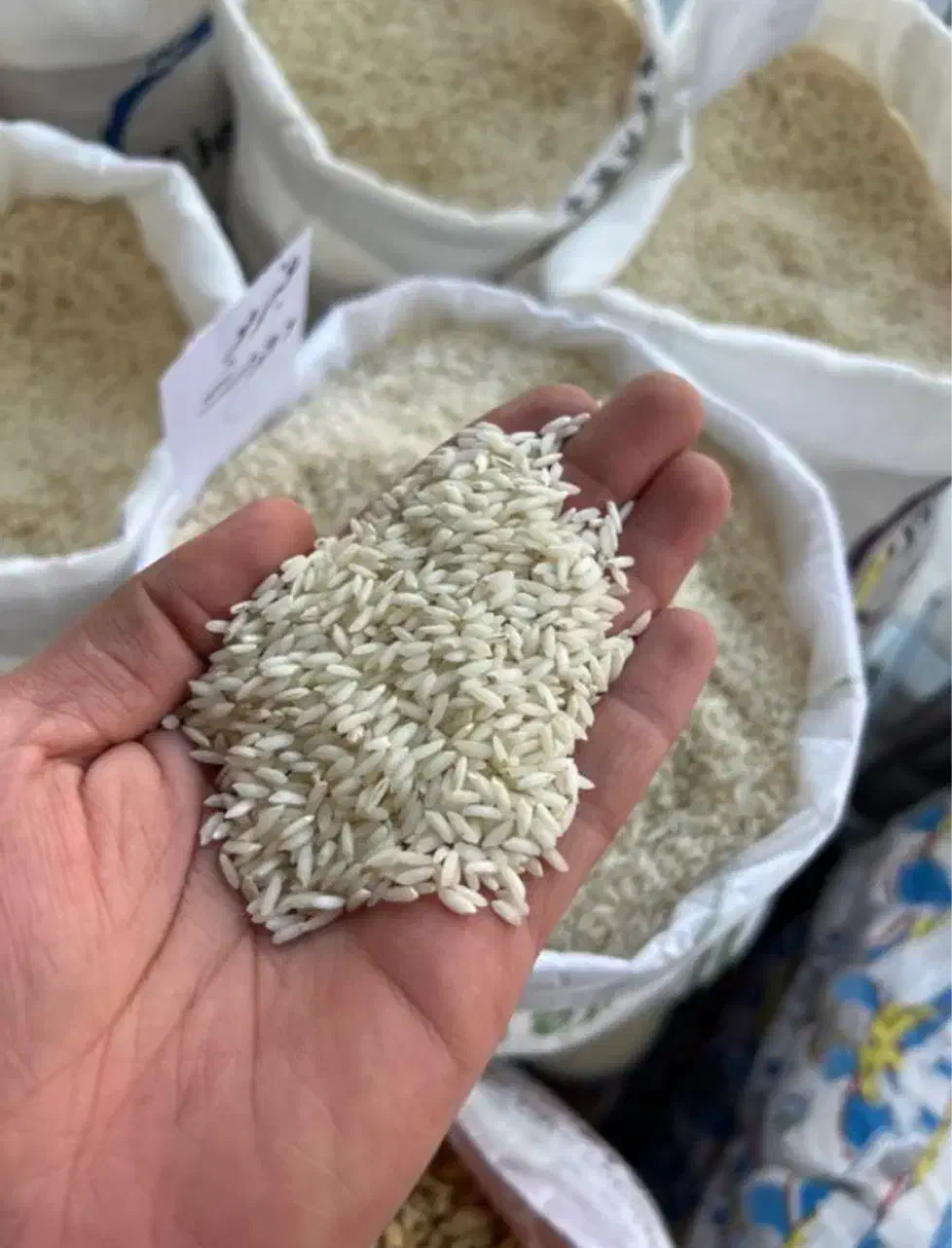 برنج عنبربوی امساله وحدت|خوردنی و آشامیدنی|قم, میدان نو|دیوار