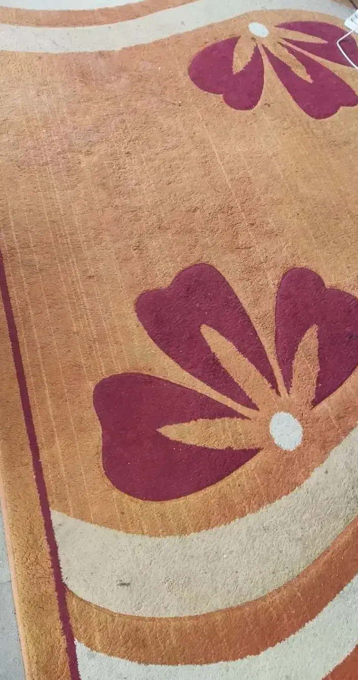 فرش 6 متری|فرش|نیشابور, بنیاد شهید|دیوار