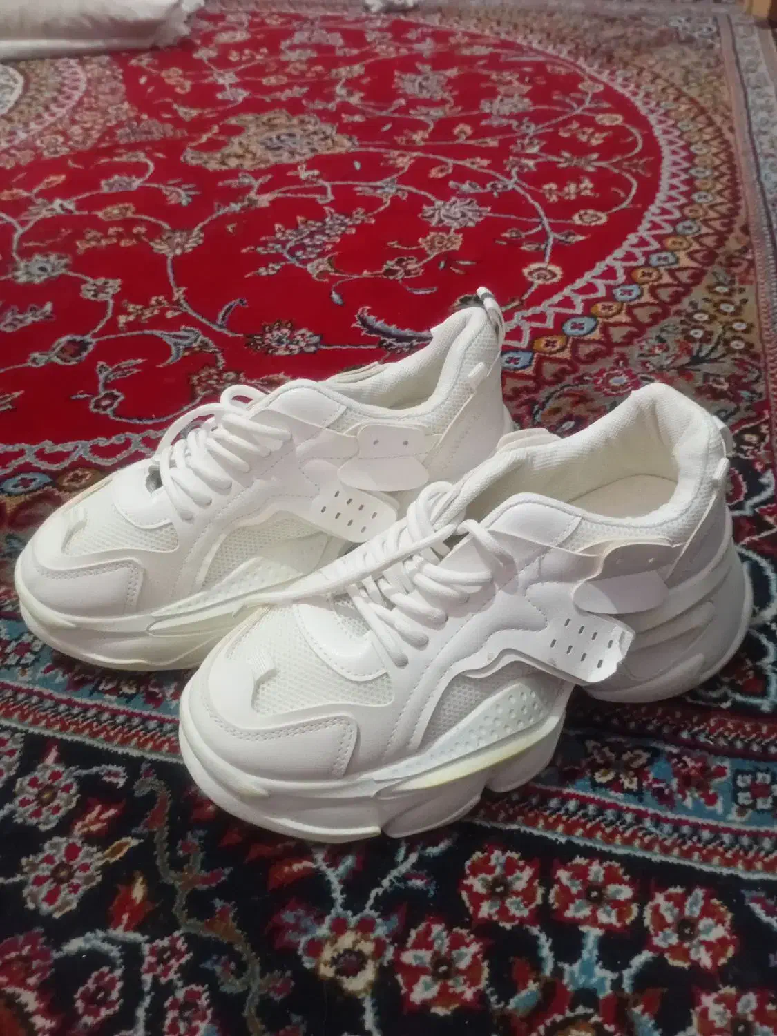 اسپرت|کیف، کفش، کمربند|کرمان, |دیوار