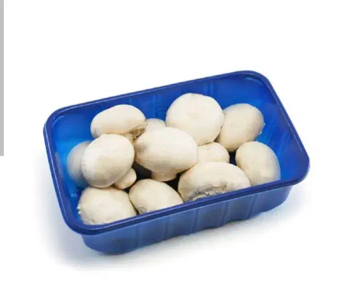 قارچ دکمه ای درجه ۱|عمده‌فروشی|بهبهان, |دیوار