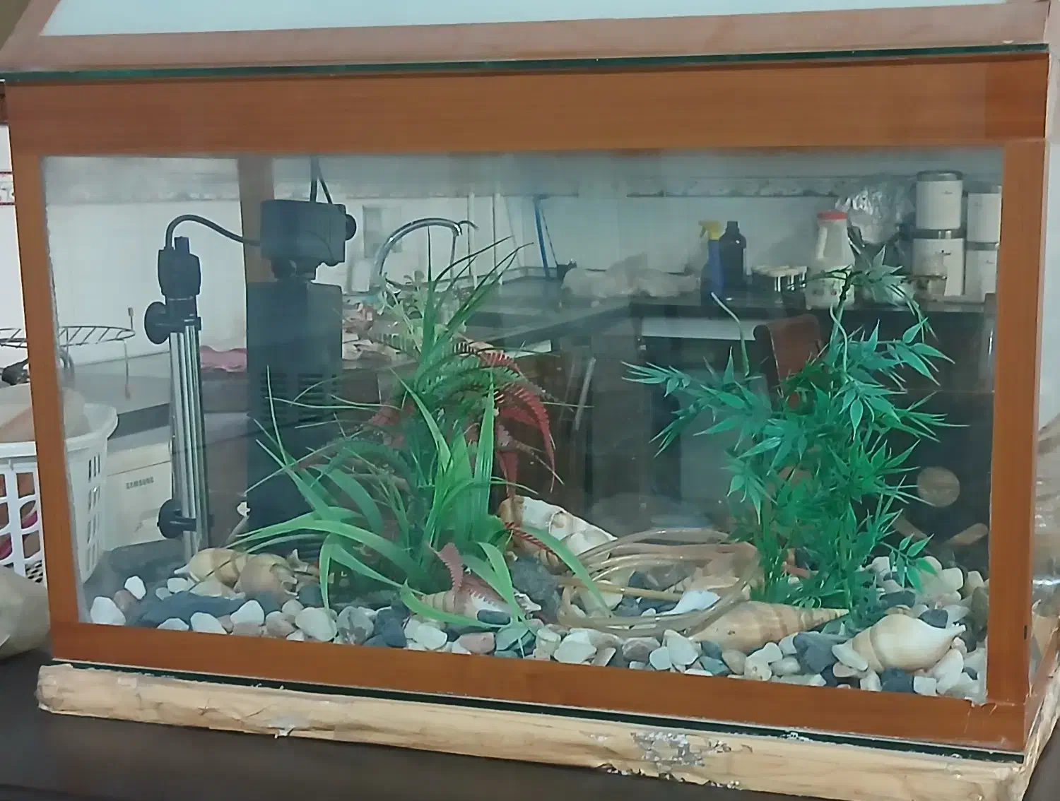 آکواریوم|ماهی|زابل, |دیوار