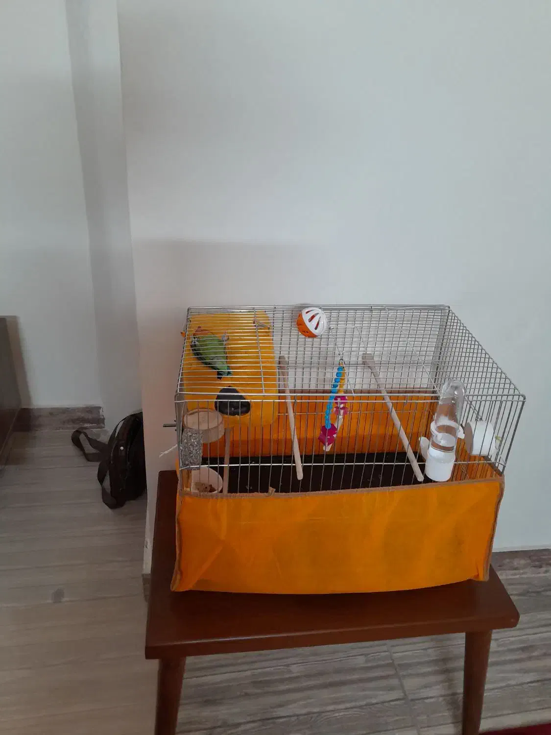 قفس پرنده|لوازم جانبی حیوانات|پاکدشت, پاکدشت (مامازند)|دیوار