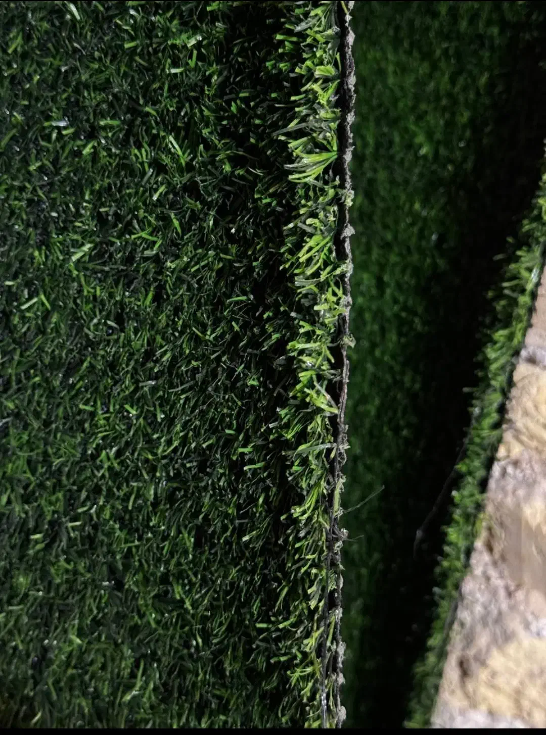 چمن به قیمت درب کارخانه مارک باران|خدمات باغبانی و درختکاری|اهواز, زرگان|دیوار