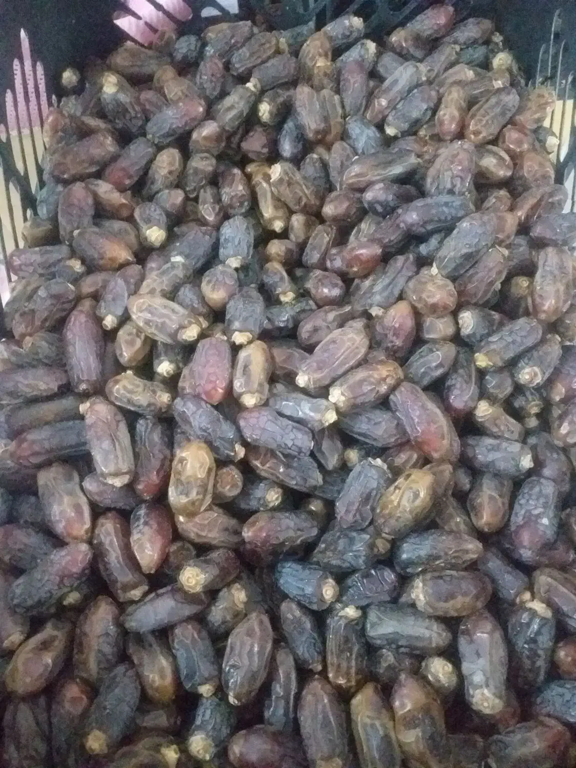خرمای پیارم مخصوص|خوردنی و آشامیدنی|شیراز, تندگویان|دیوار
