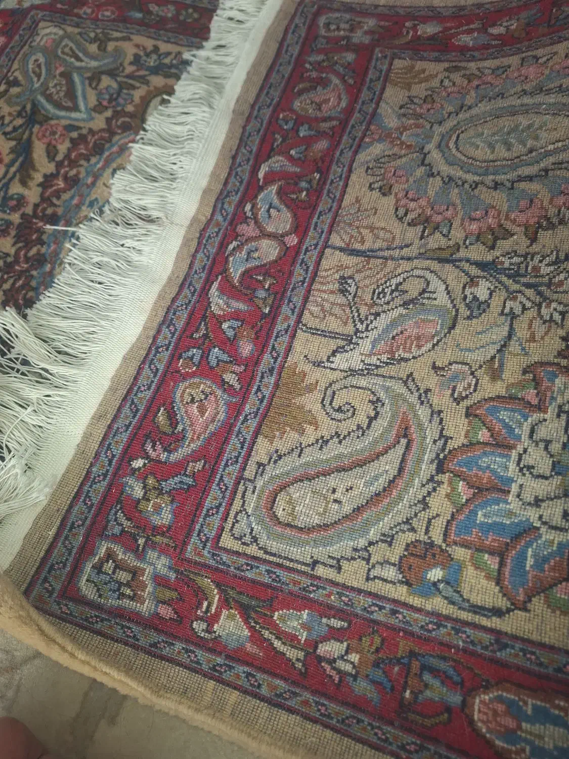 فرش ساروق|فرش|پردیس, فاز ۸|دیوار