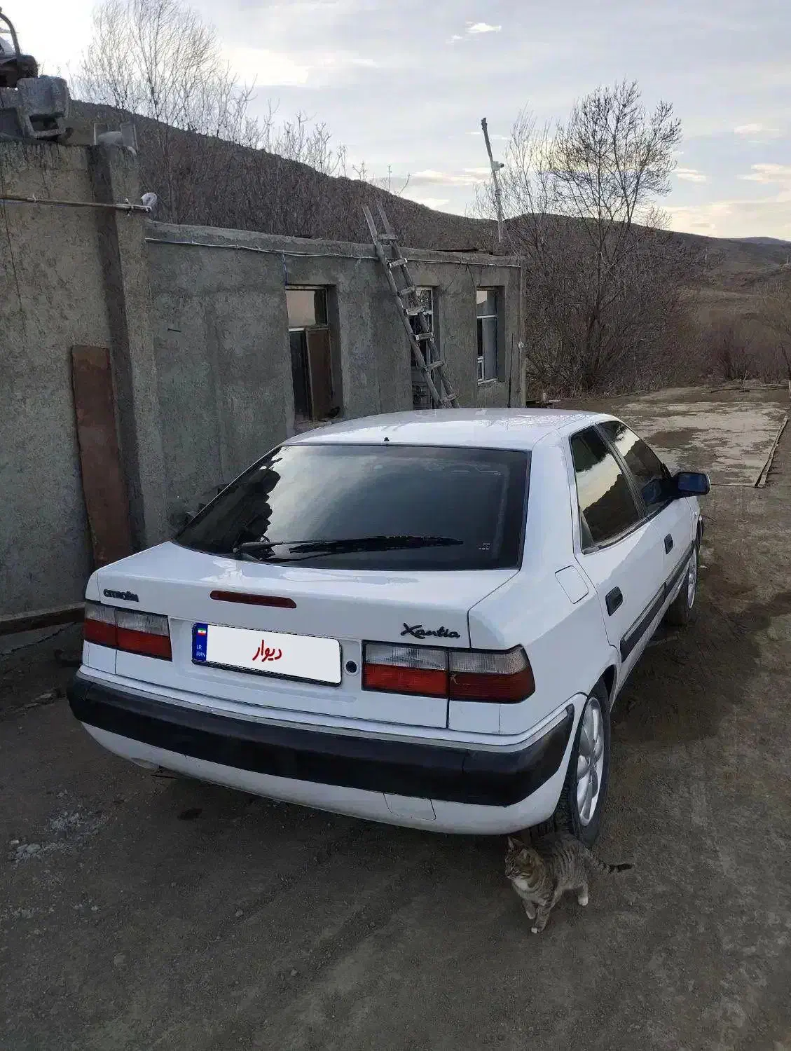 زانتیا ۸۹|خودرو سواری و وانت|اردبیل, |دیوار