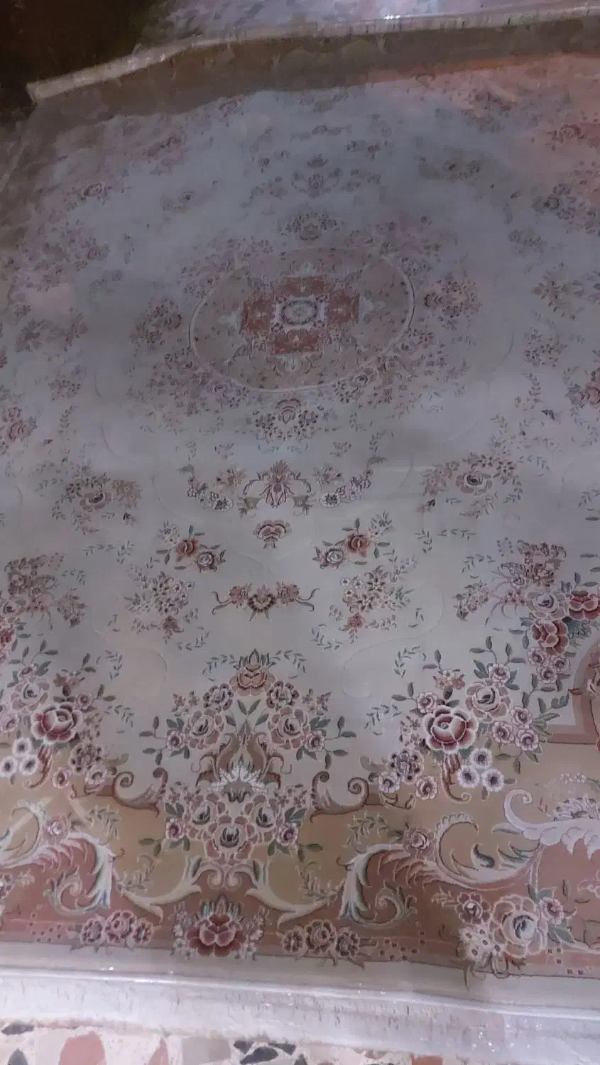 فرش۱۲متری|فرش|سورک, |دیوار