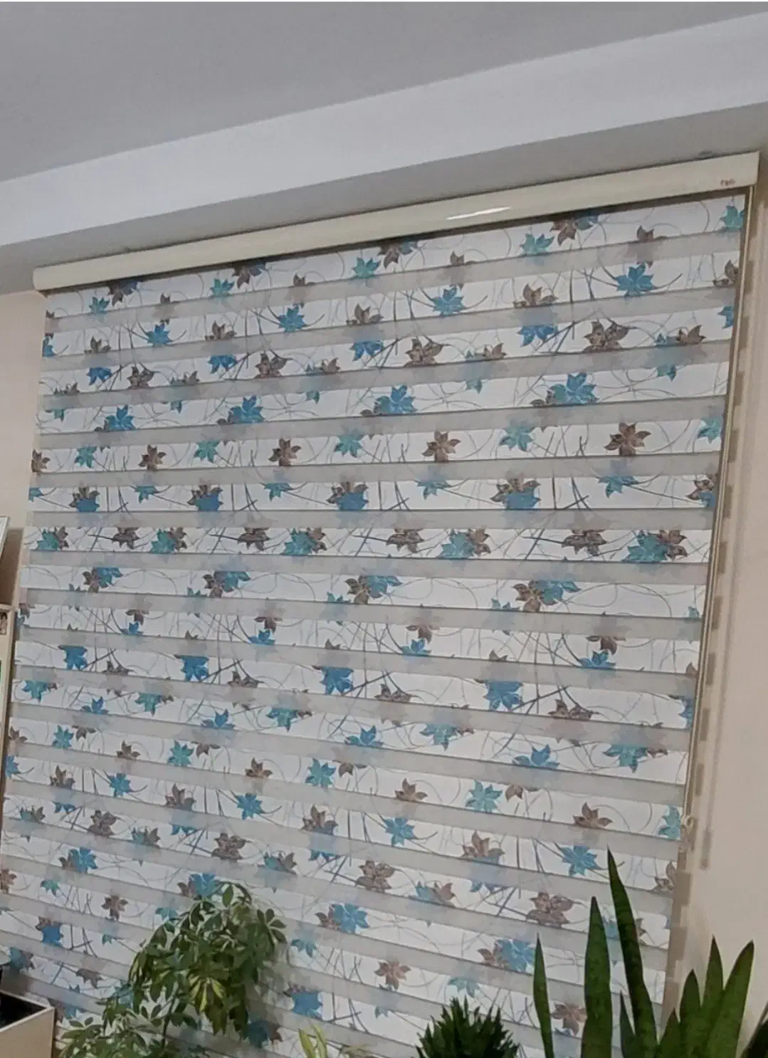 یک عدد پرده زبرا|پرده، رانر، رومیزی|تهران, اختیاریه|دیوار