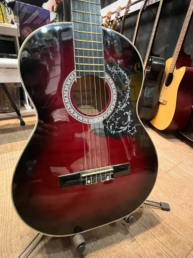 گیتار کلاسیک پاچیو ژاپن گالری موسیقی آرتیا|گیتار، بیس، امپلیفایر|لاهیجان, انقلاب|دیوار