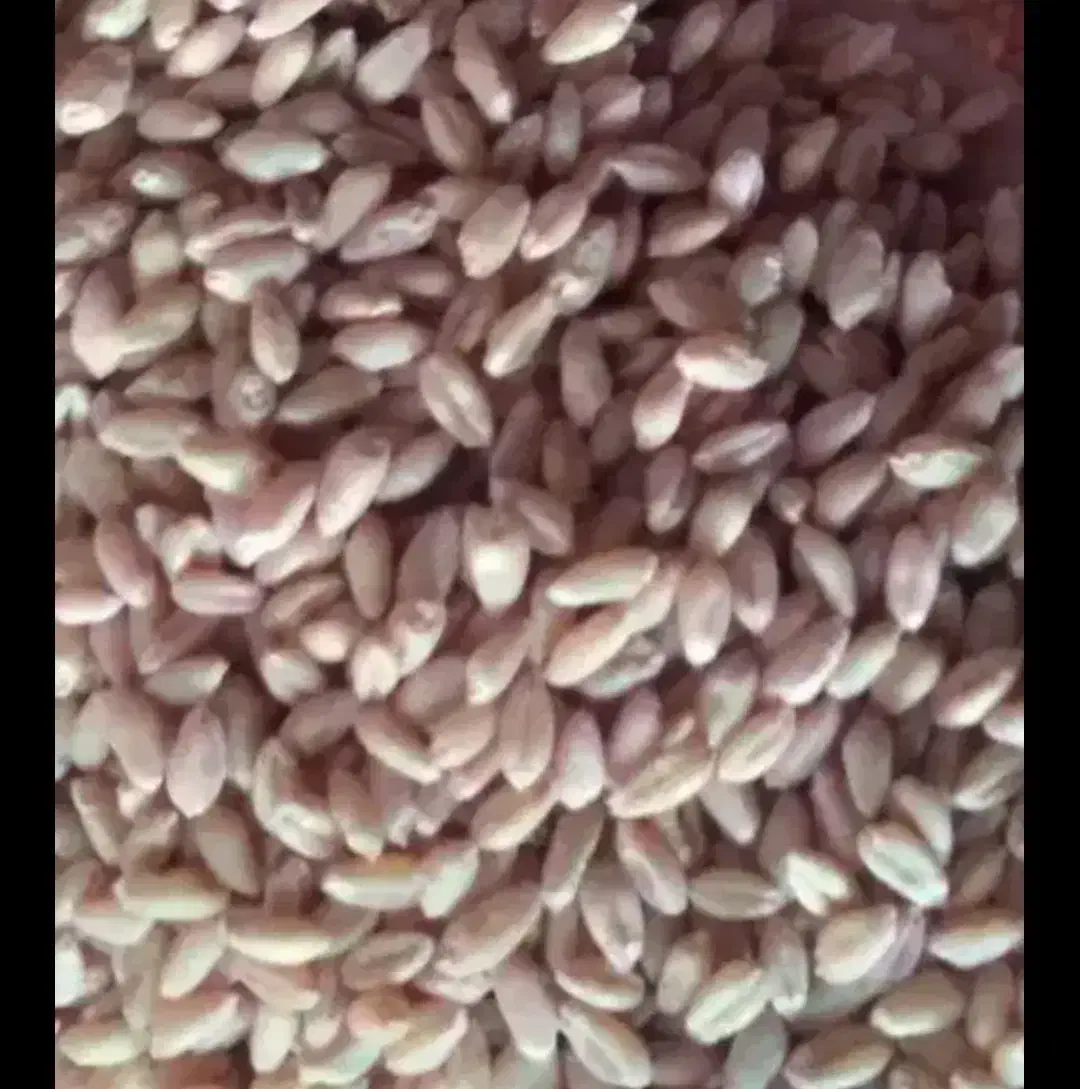 گندم|عمدهفروشی|گهواره, |دیوار