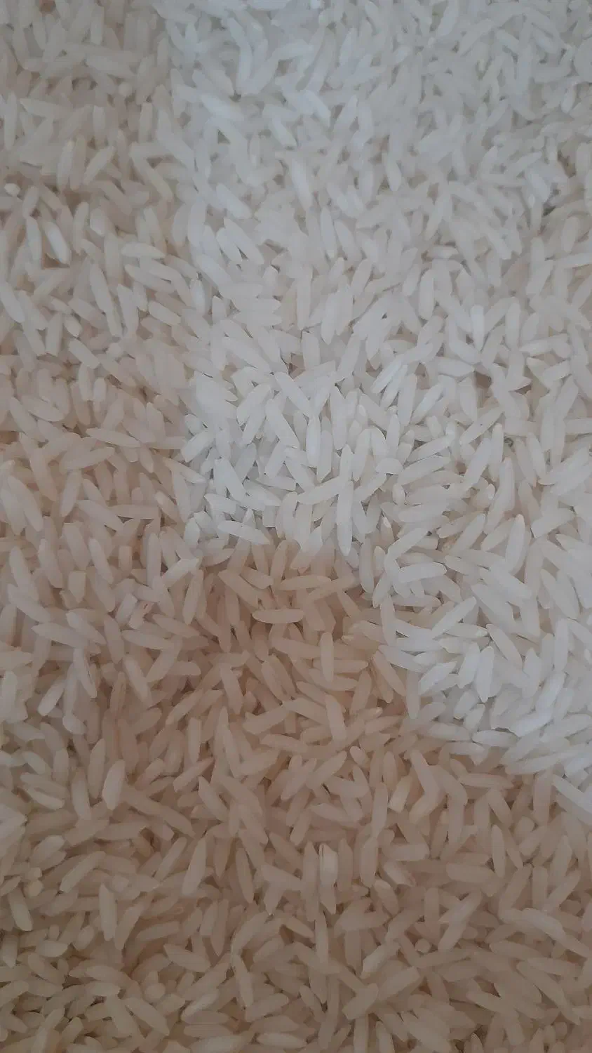 برنج هاشمی کیلان|خوردنی و آشامیدنی|اسلامشهر, شهرک مفیدی|دیوار