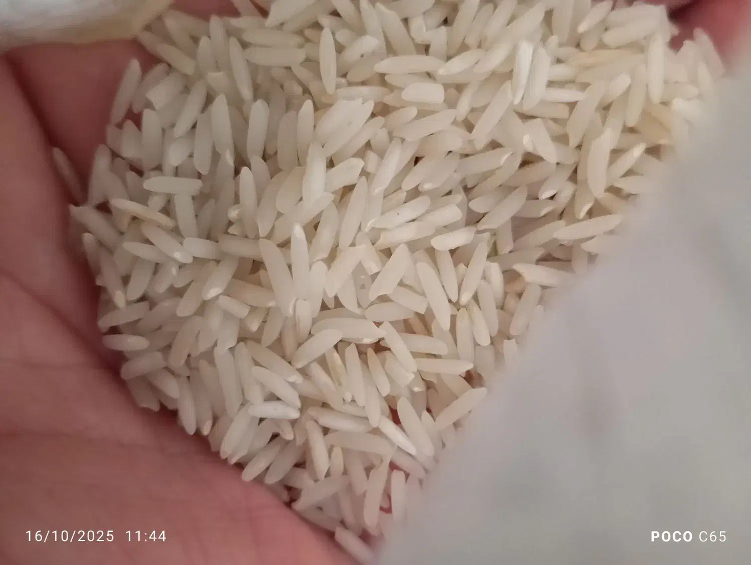 برنج هاشمی تضمینی|خوردنی و آشامیدنی|رشت, حومه رشت|دیوار