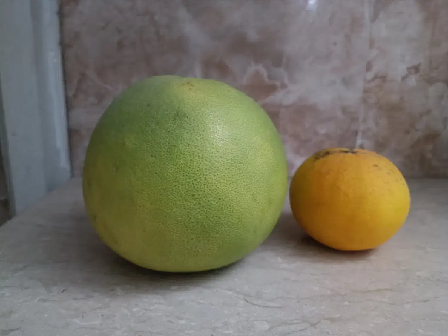 سلطان مرکبات ، پاملو ، دارابی|خوردنی و آشامیدنی|قائم‌شهر, |دیوار