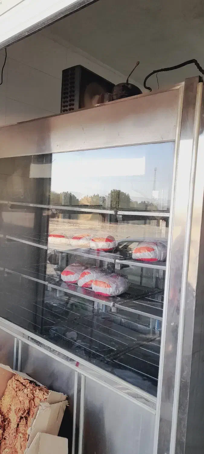 یخچال تمام استیل|یخچال و فریزر|سده (فارس), |دیوار