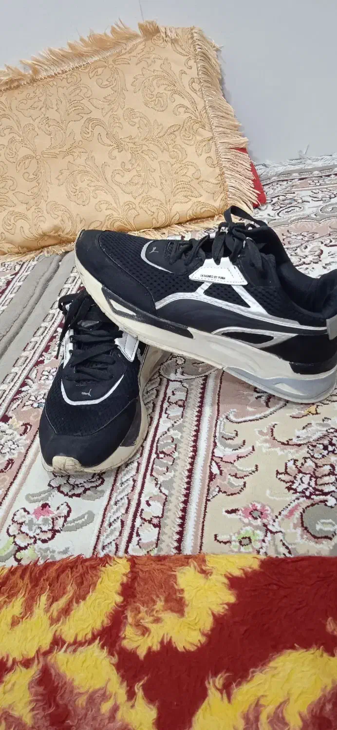 کفش تاناکورا|کیف، کفش، کمربند|جوانرود, |دیوار