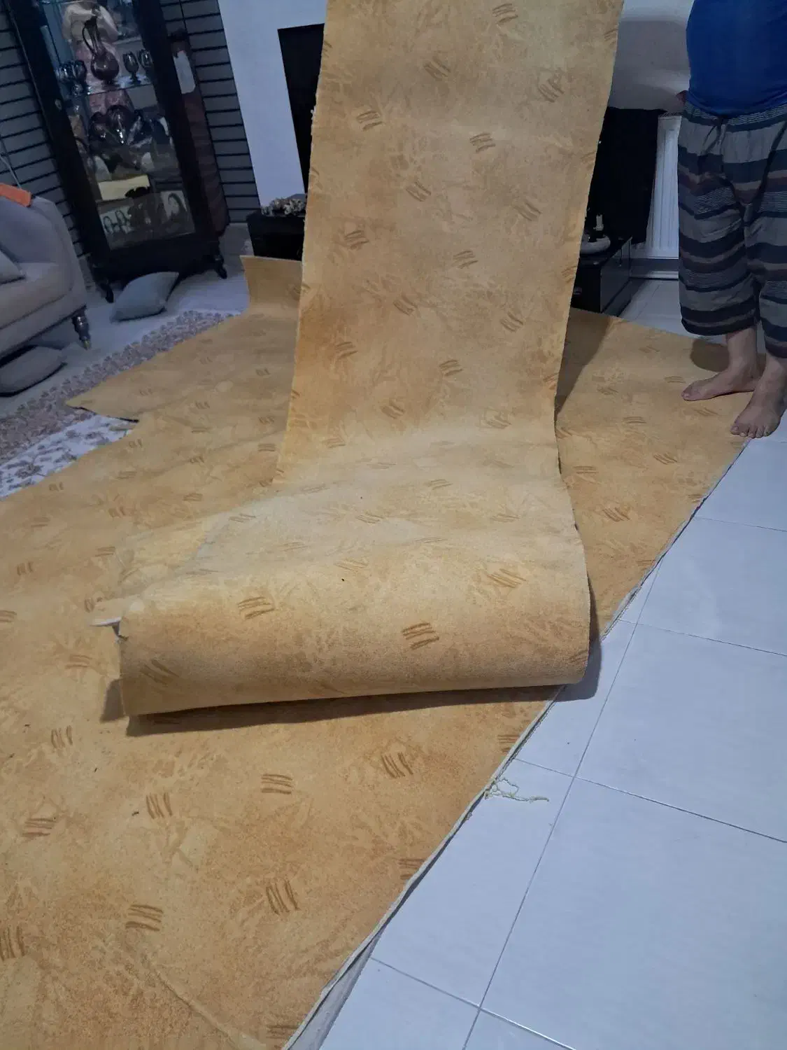 موکت|موکت|چالوس, |دیوار