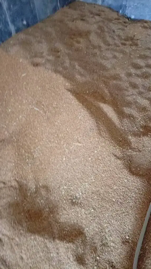 گندم و لوبیا|خوردنی و آشامیدنی|اهواز, اسماعیلیه|دیوار