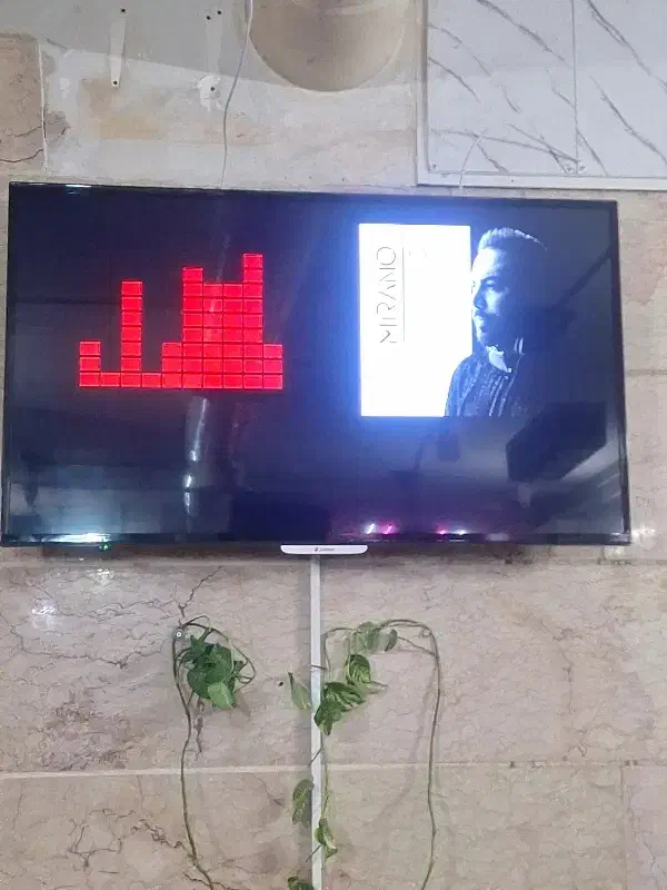 ال ای دی ۵۵ اینچ اسنوا در حد نو|تلویزیون و پروژکتور|تهران, استخر|دیوار