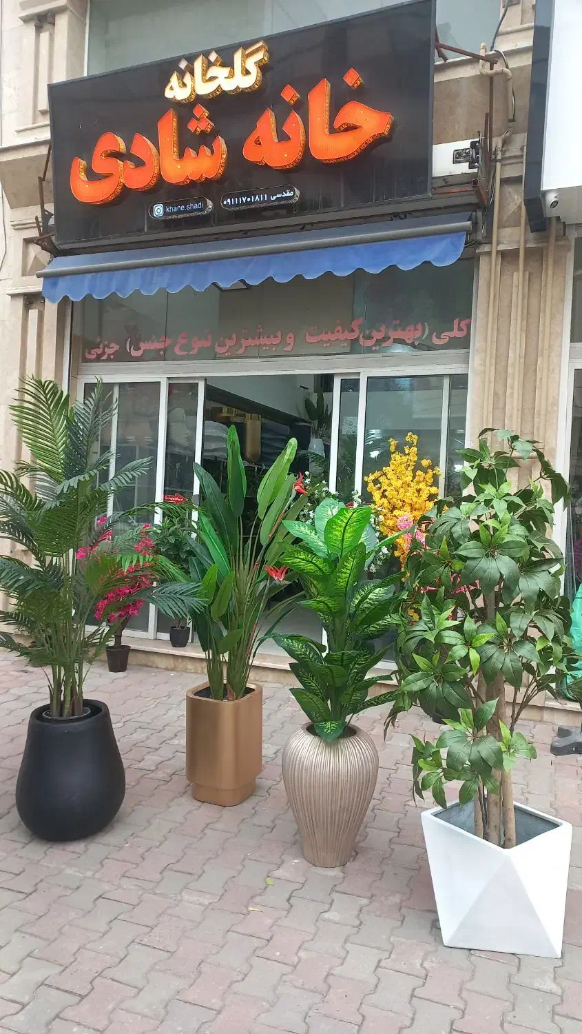 درختچه مصنوعی|گل مصنوعی|گرگان, |دیوار