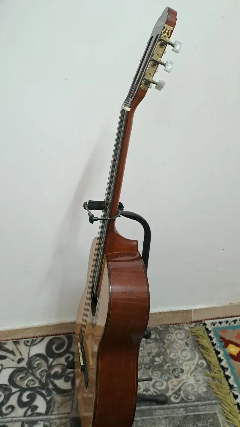 گیتار|گیتار، بیس، امپلیفایر|قوچان, |دیوار