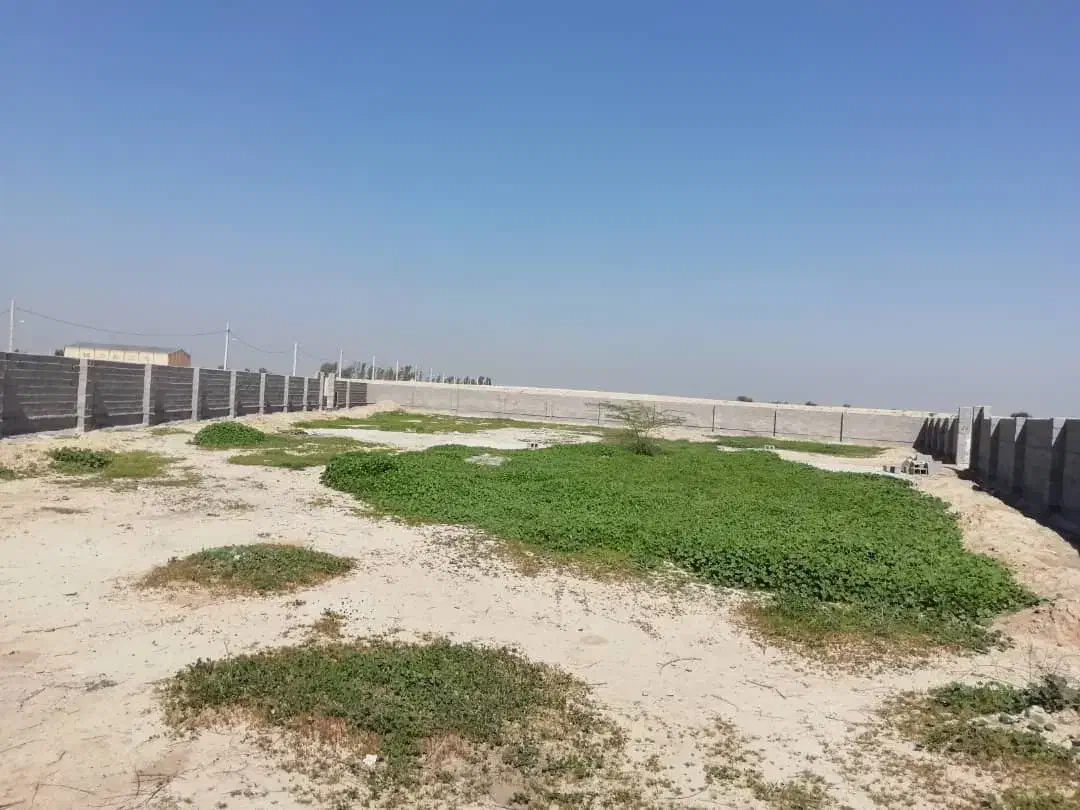 فروش زمین دهملابزرگ|فروش زمین و ملک کلنگی|بندر ماهشهر, |دیوار