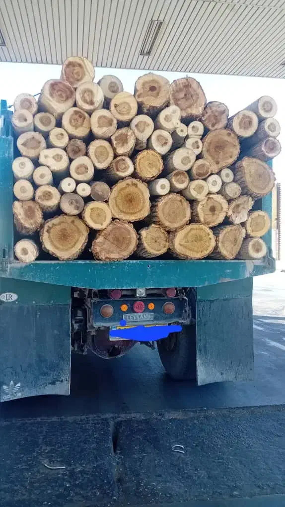 تولید کننده پالت چوبی نو بدون واسطه مستقیم|عمده‌فروشی|تهران, خانی آباد نو شمالی|دیوار