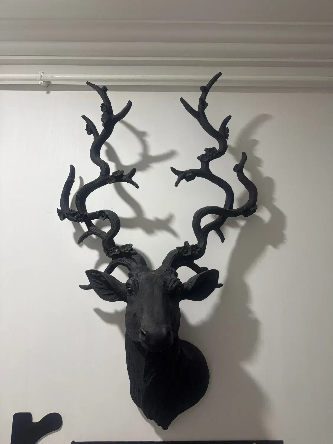 مجسمه دکوری|مجسمه، تندیس، ماکت|بانه, |دیوار