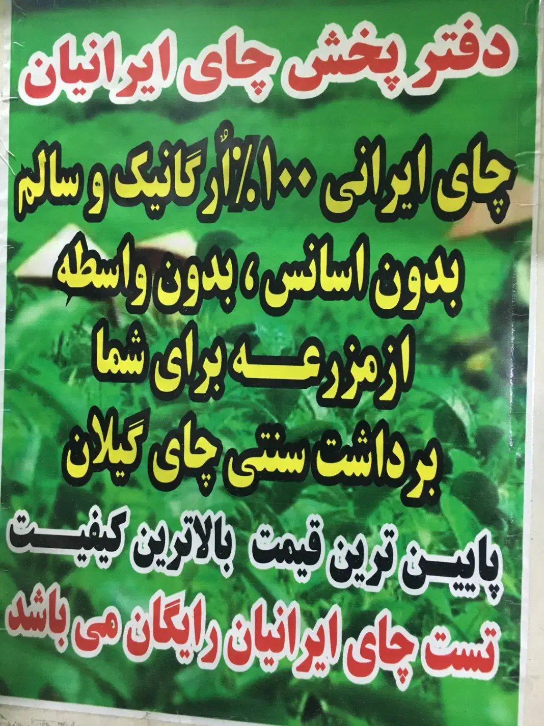 چای سبز|خوردنی و آشامیدنی|کرج, ساسانی (قلمستان)|دیوار