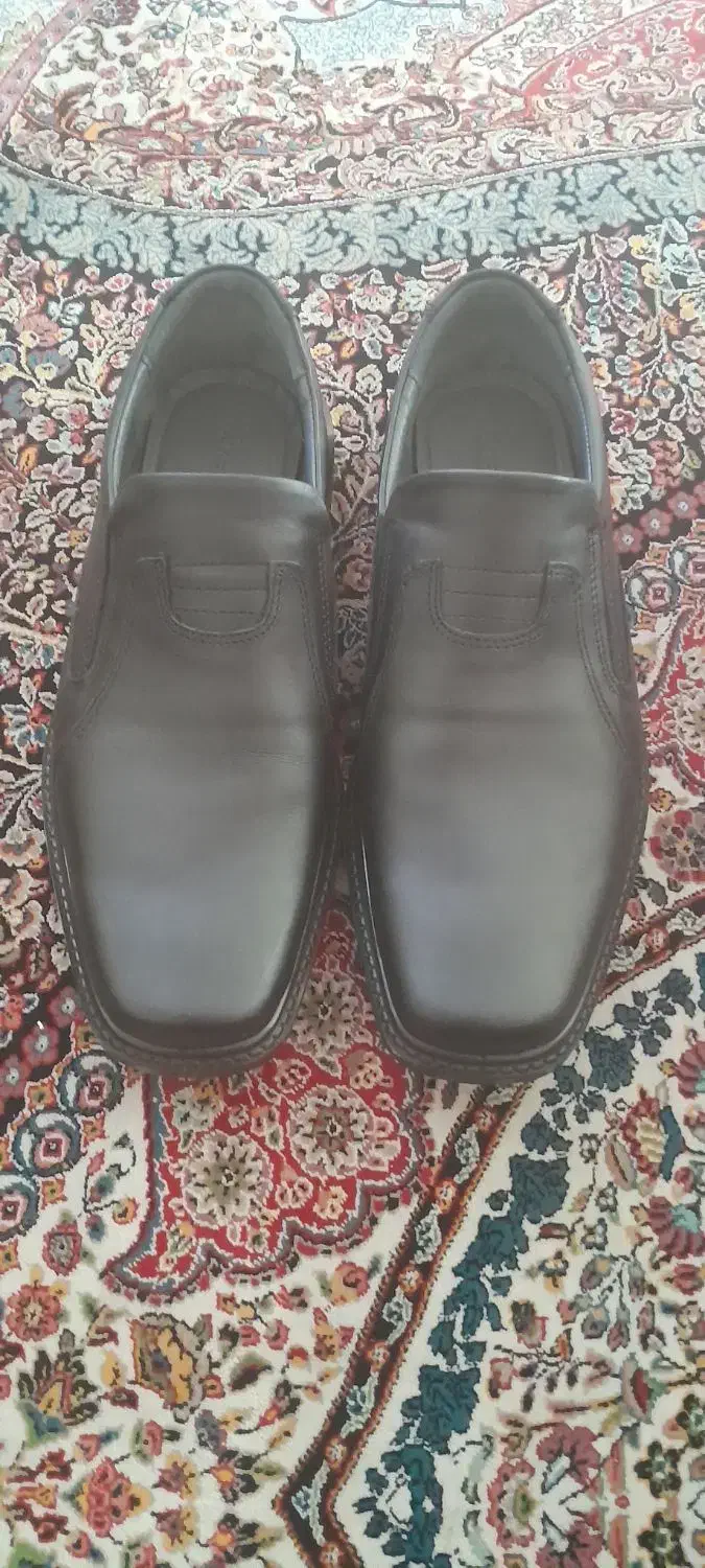 کفش مردانه|کیف، کفش، کمربند|نهاوند, |دیوار