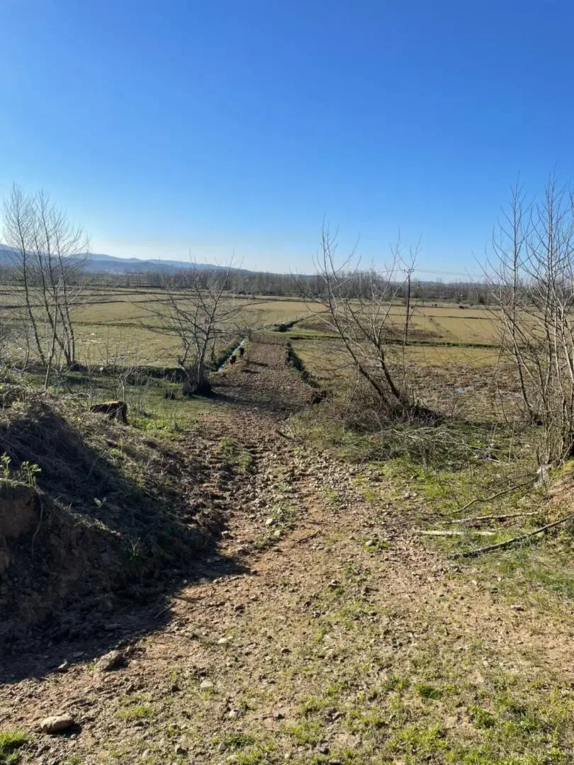 زمین کشاورزی|فروش زمین و ملک کلنگی|رشت, چله خانه|دیوار