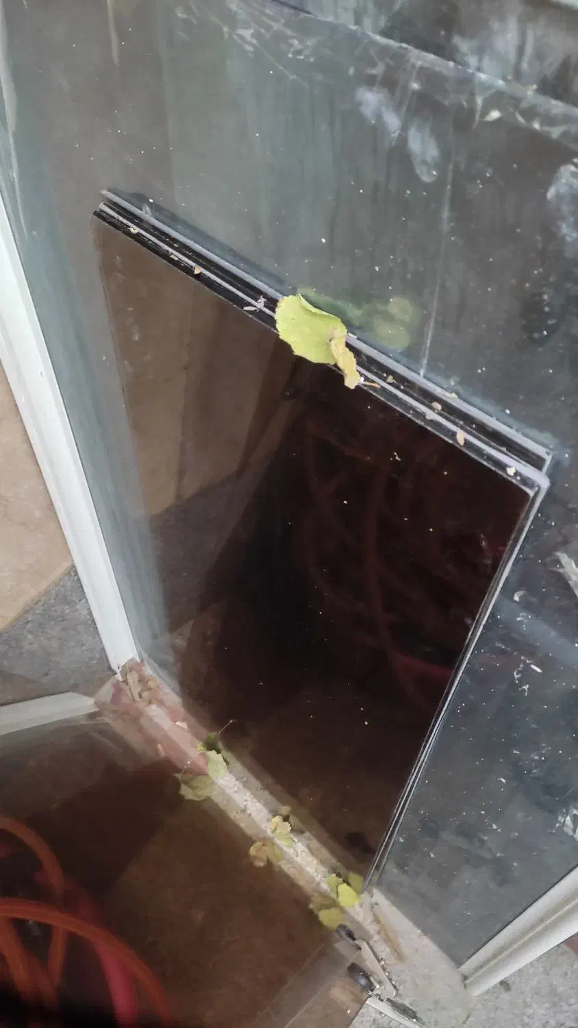 شیشه|مصالح و تجهیزات ساختمان|تهران, نبی اکرم|دیوار