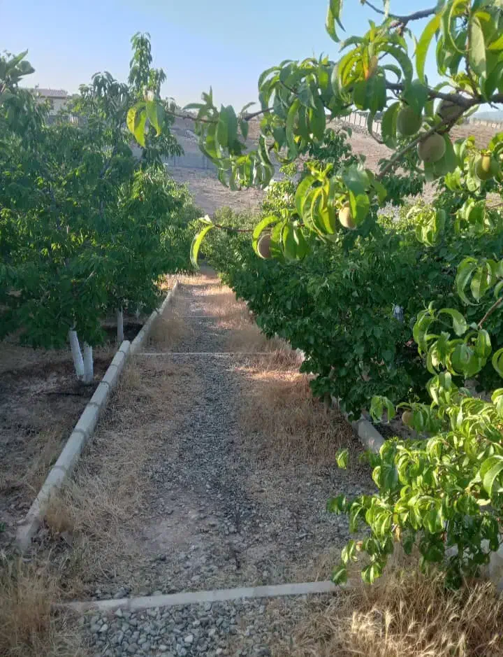 850 متر ویلا ( تهاتر )|فروش خانه و ویلا|تهران, جنت‌آباد جنوبی|دیوار