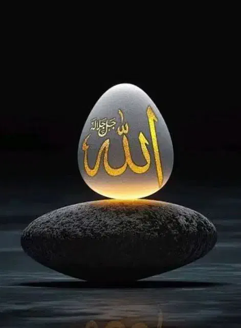 د و ع ا|خدمات پذیرایی، مراسم|اردبیل, |دیوار