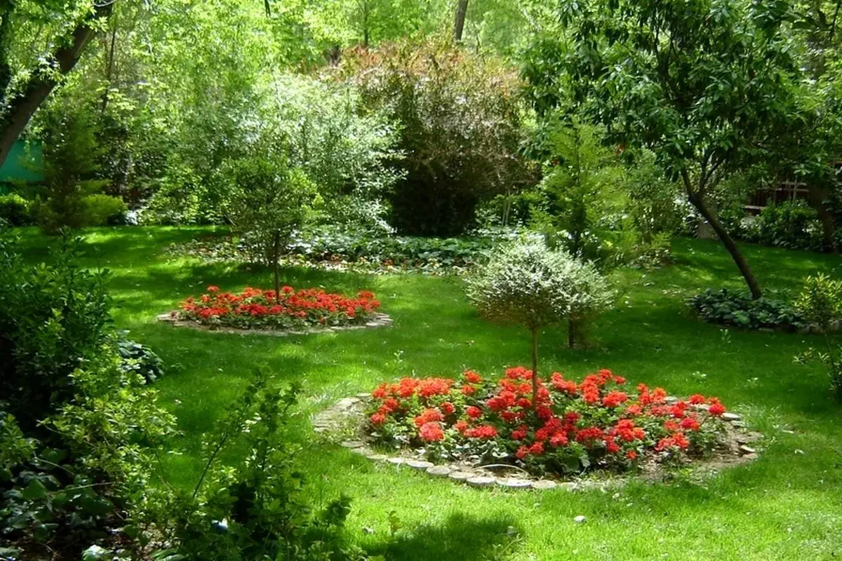 راهنمایی میخام‌|فعالیت داوطلبانه|کرج, جهان‌شهر|دیوار