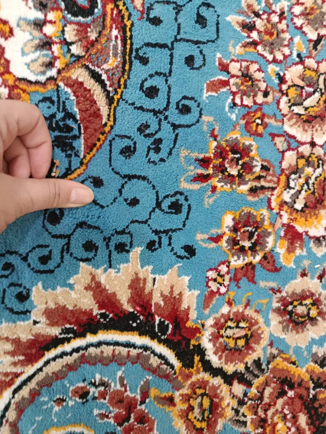 قالی 12متری نو نو|فرش|باوی, |دیوار